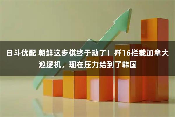日斗优配 朝鲜这步棋终于动了！歼16拦截加拿大巡逻机，现在压力给到了韩国
